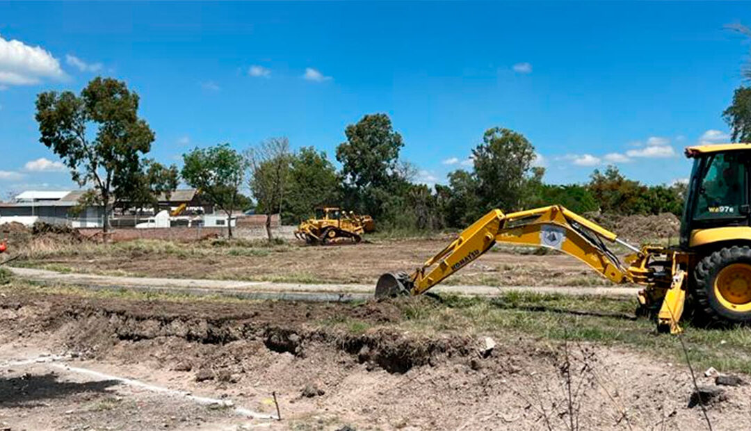 Retiran árboles en ‘Vivero de Tekchem’ de Salamanca por trabajos de remediación del predio.