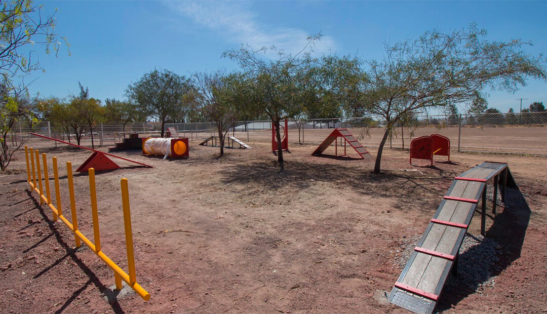 Guanajuato cuenta con un Parque para Mascotas en la Ciudad Deportiva de la Zona Sur