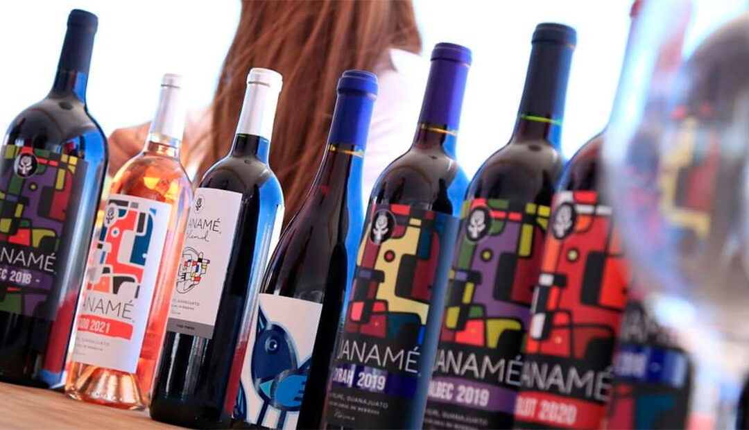 Descubre el encanto del vino en Guanajuato en ‘Mientras Tanto un Vino’