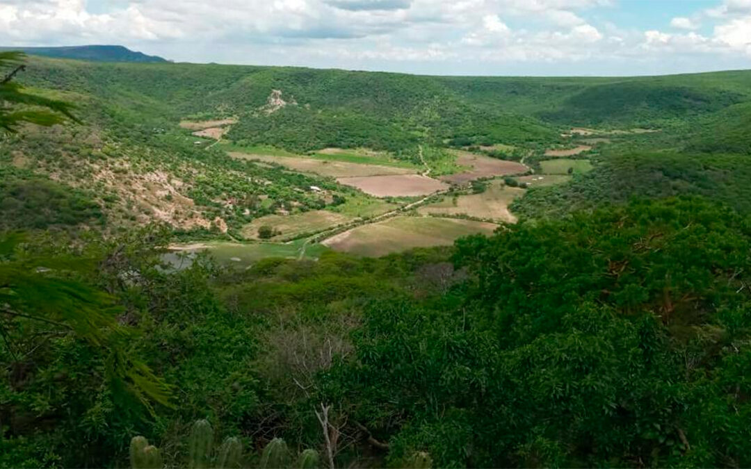 Salamanca se moviliza por el medio ambiente