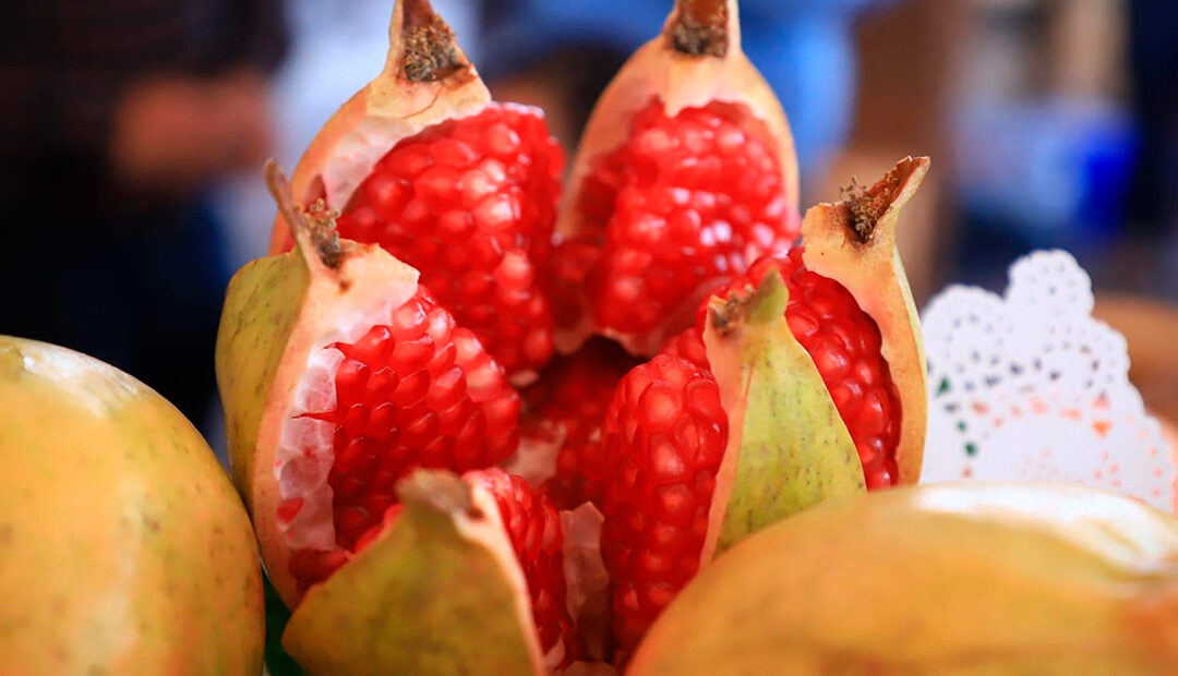 La Feria de la Granada y la Pitahaya regresa a Apaseo el Alto con una explosión de sabores y cultura