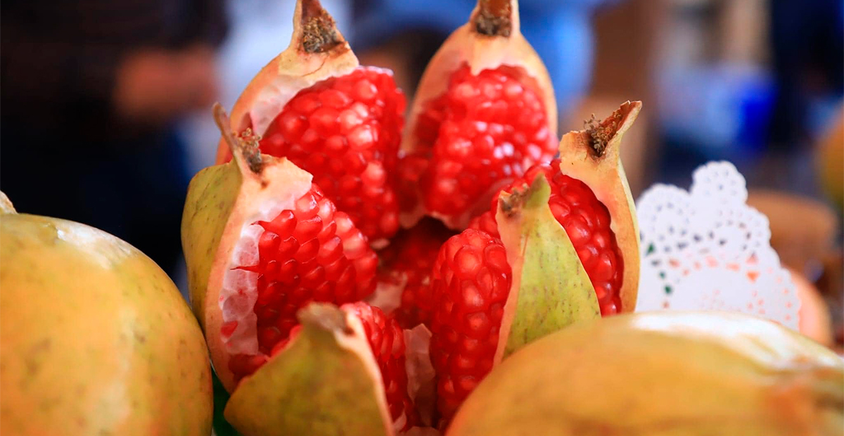 La Feria de la Granada y la Pitahaya regresa a Apaseo el Alto