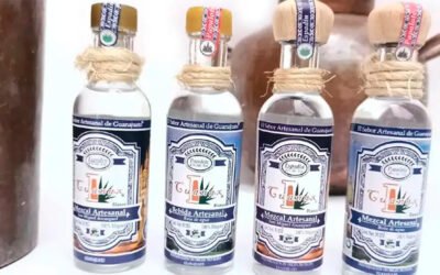 Casa Cuanax: El Mezcal Guanajuatense que Conquista el Mundo