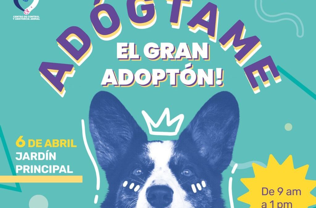 Invitan al Adoptón dominical en el jardín principal de Silao