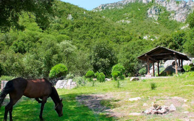 🍃🌄 El Peral: la joya ecoturística escondida en la sierra de Guanajuato