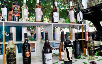 Apaseo el Grande celebra con éxito su primera Feria de la Poesía📖, Vino🍷 y Queso🧀