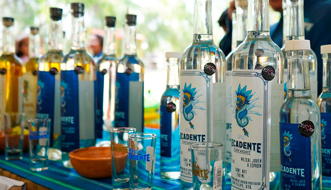 🍷 Ocampo se prepara para la 3ª edición del Festival del Vino, Mezcal y Escamoles 2025