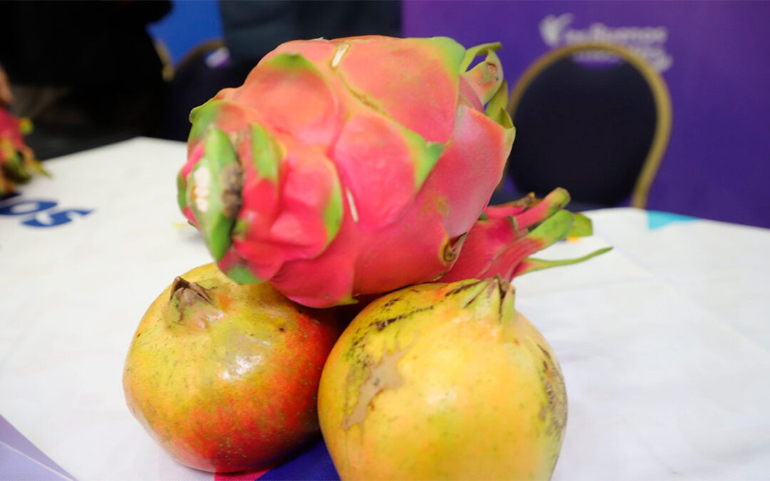 Apaseo el Alto celebra la 9ª Feria de la Granada y la Pitahaya