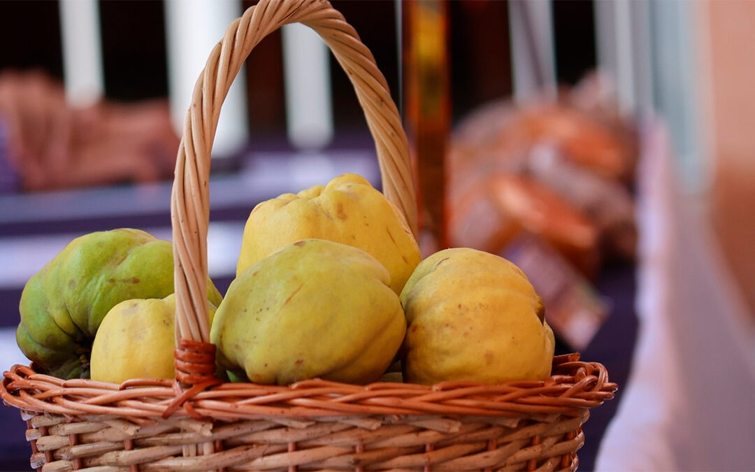 Feria de la Nuez y el Membrillo🌰🍐: tradición, sabor y magia en Jalpa de Cánovas