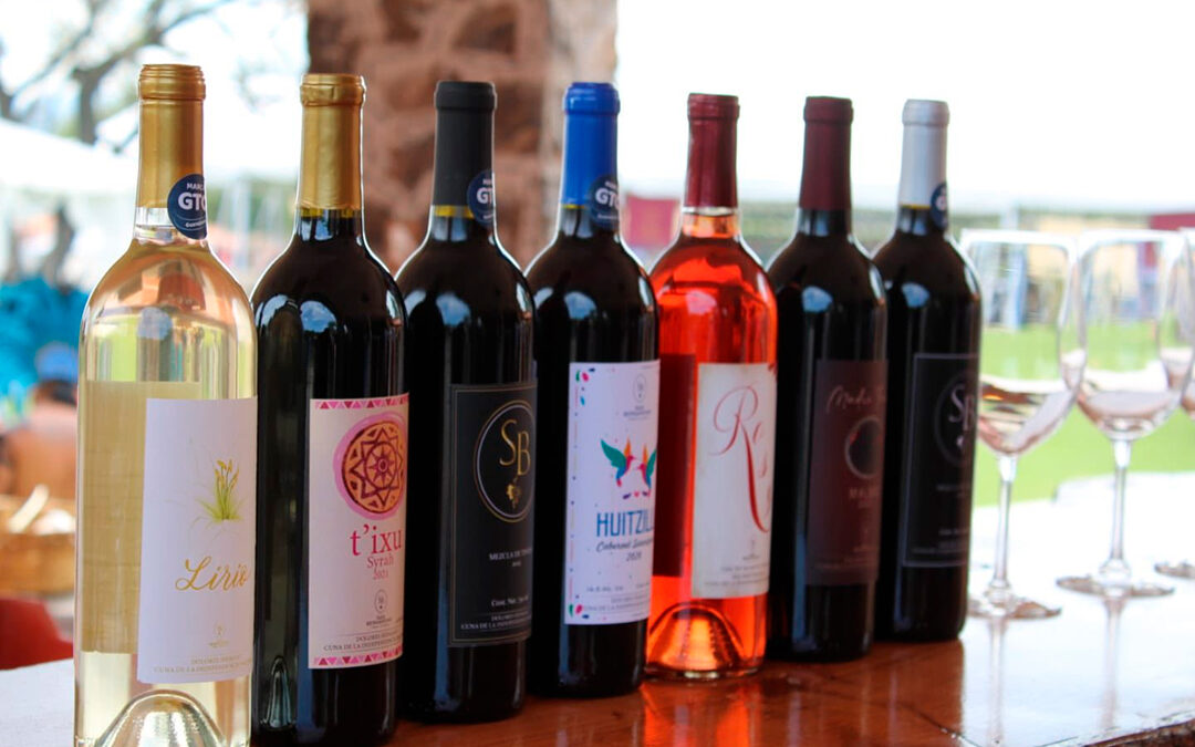 Dolores Hidalgo celebra la 5.ª edición del Festival de la Vendimia MAGI M UI HA MA MPOJIHE 2025 🍇🍷