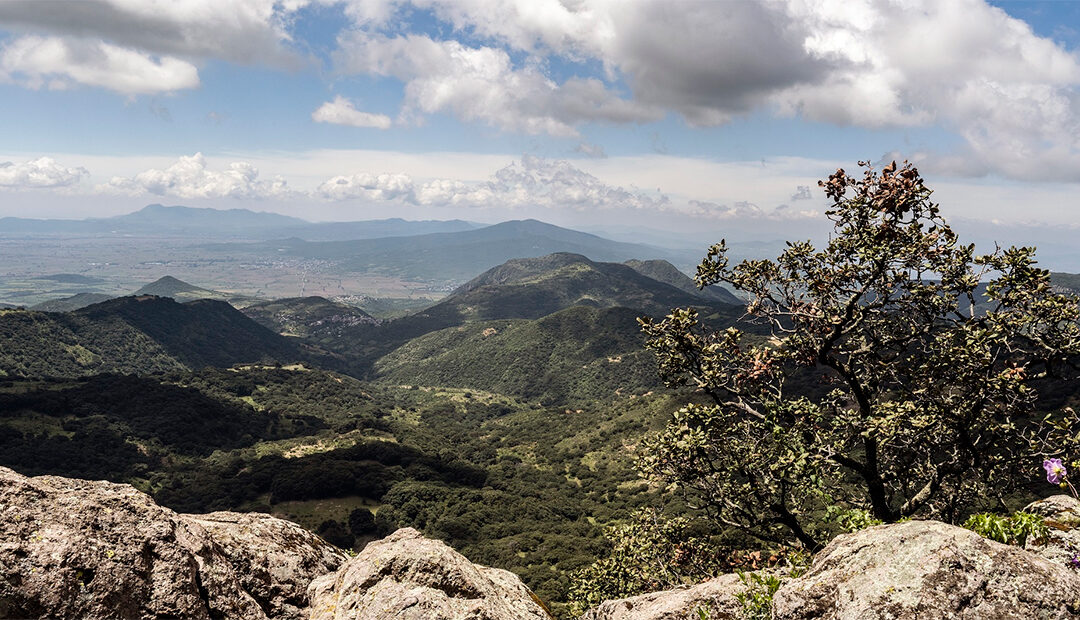 Guanajuato celebra los aniversarios de sus Áreas Naturales Protegidas
