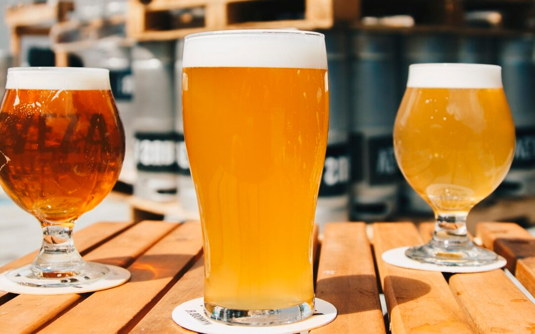 Cortázar celebra el Primer Festival de Cerveza Artesanal en Cañada de Caracheo