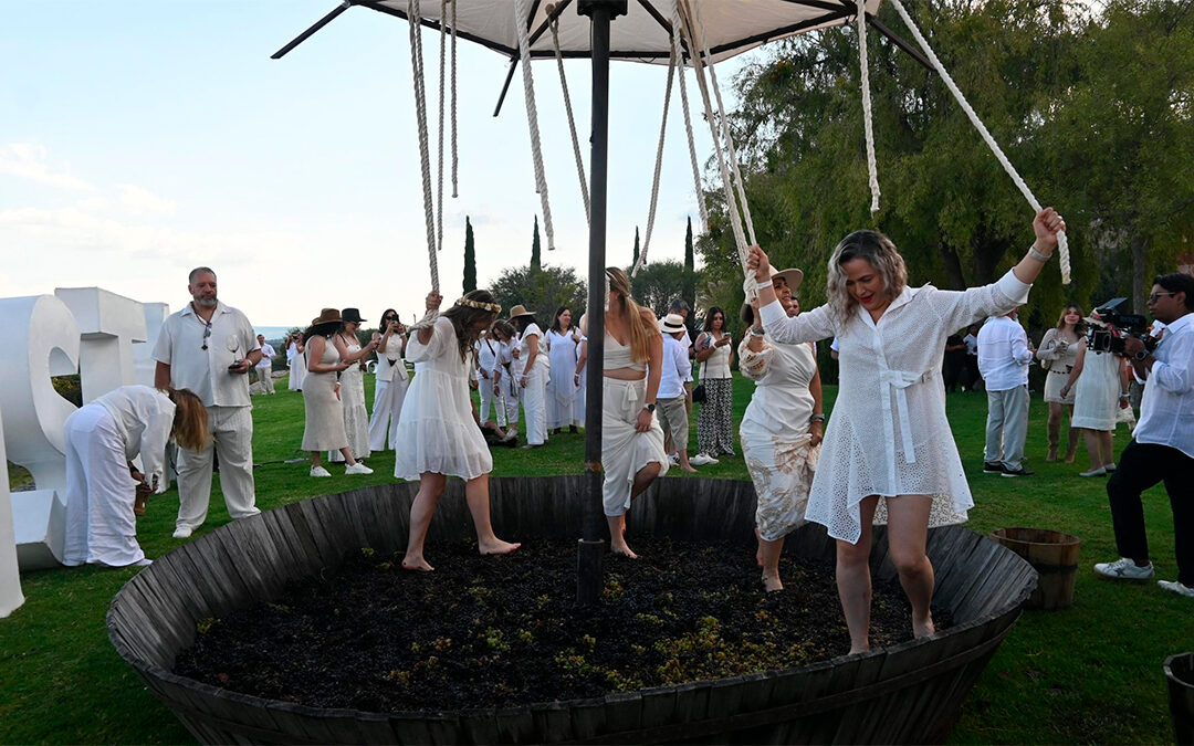 Guanajuato consolida su liderazgo en enoturismo con la Temporada de Vendimias 2025