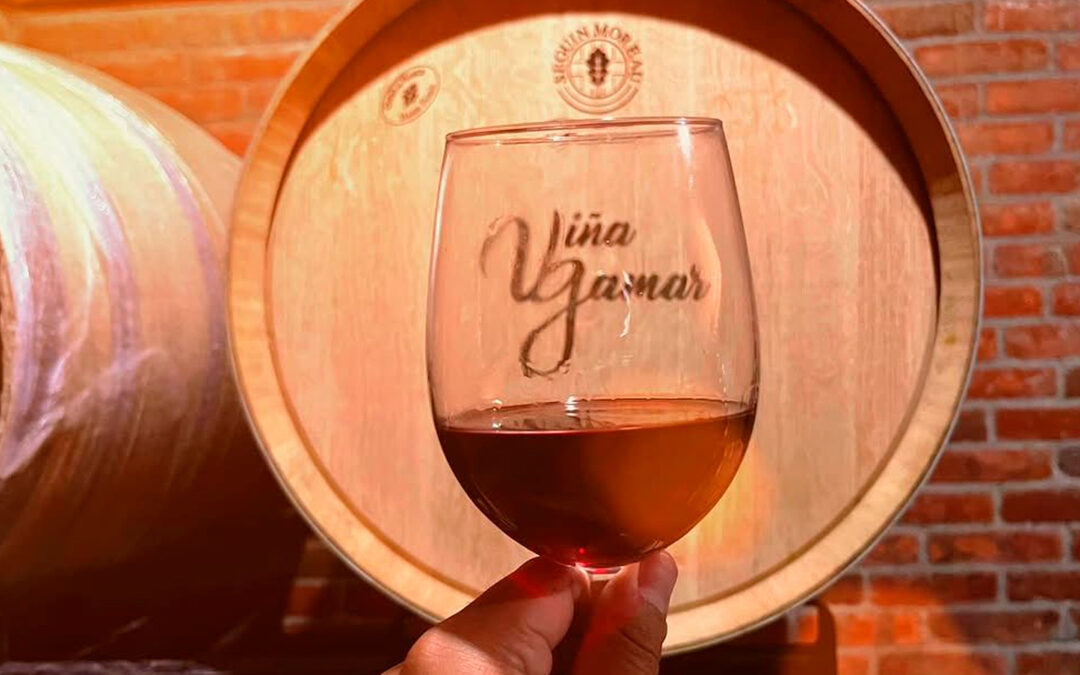 Fiestas de las Vendimias en Viña Gamar🍷: el alma del vino guanajuatense entre viñedos, fuego y atardeceres