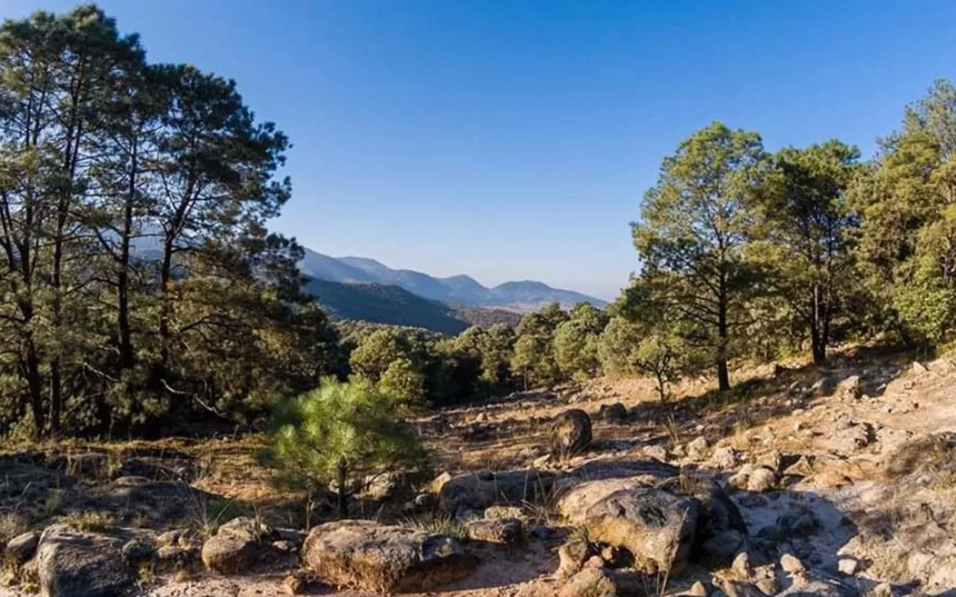 🌳🌿La Sierra de Tócuaro: El nuevo destino que une naturaleza, historia y arte purépecha en el corazón de México