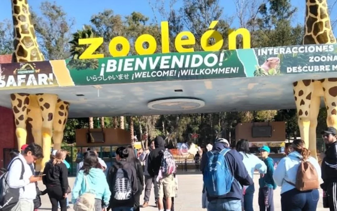 ZooLeón, una experiencia familiar imperdible para vivir la Navidad en contacto con la naturaleza