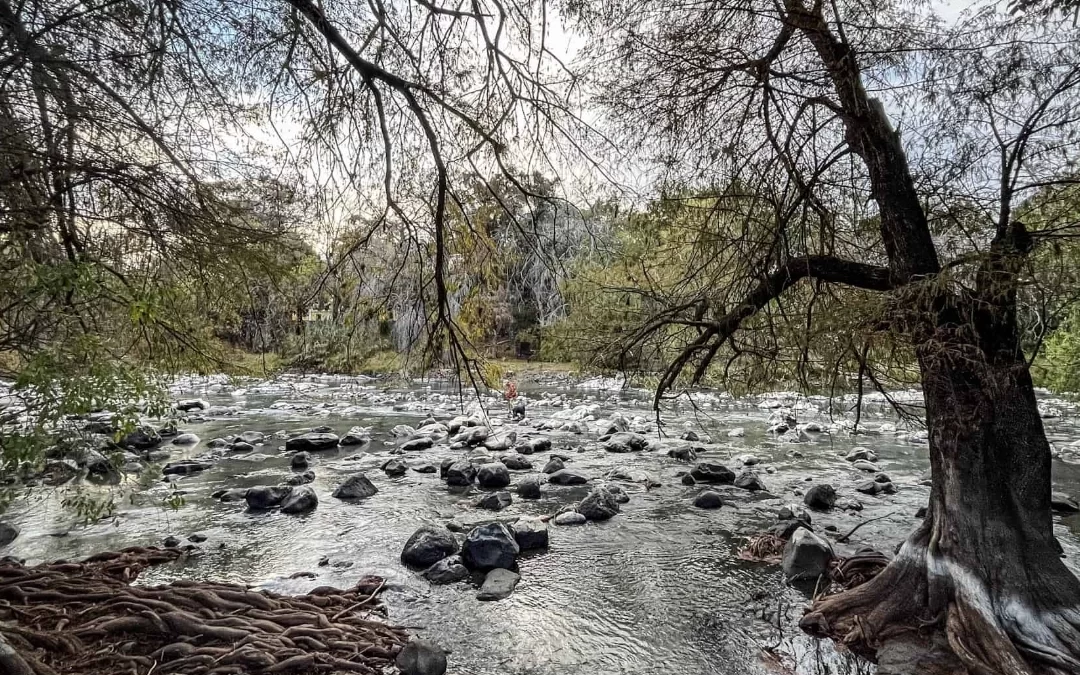 Ecoparque Batanes, el nuevo respiro natural de Salvatierra junto al histórico puente del siglo XVII