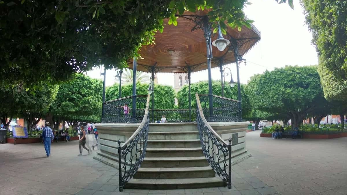 jardin