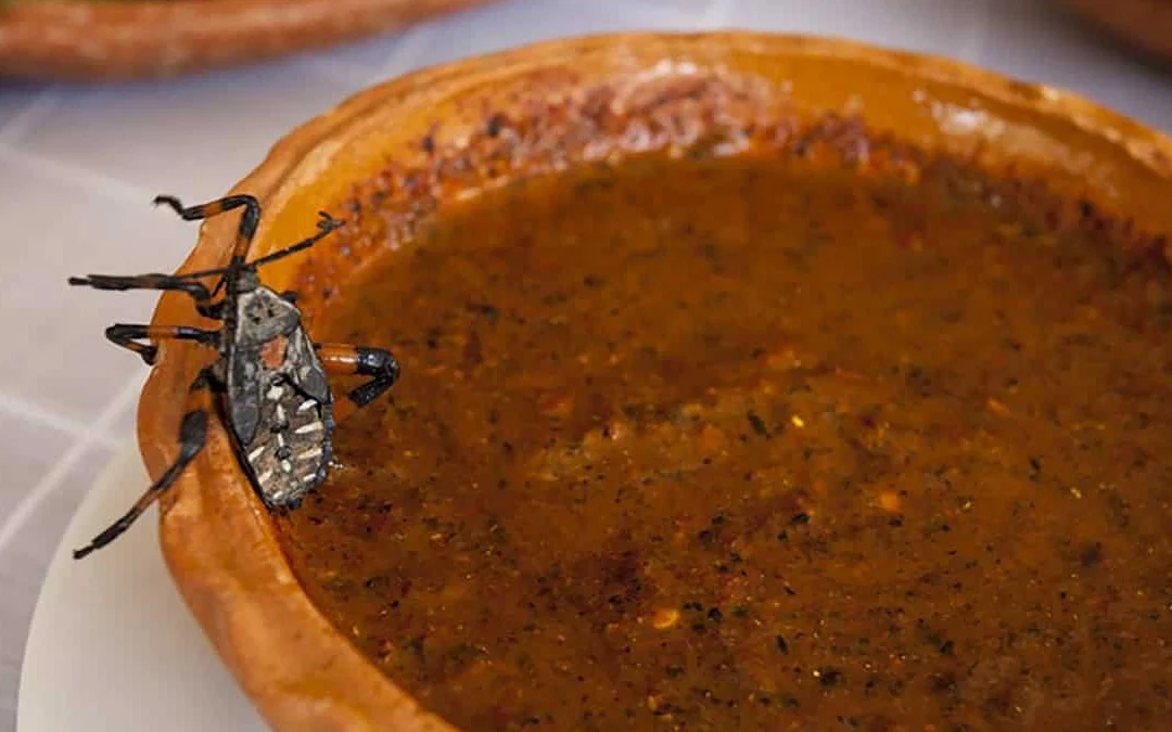 Mole de Tantarria, el exótico sabor del semidesierto que preserva la tradición gastronómica de Guanajuato