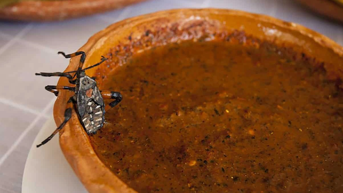 mole de tantarrias