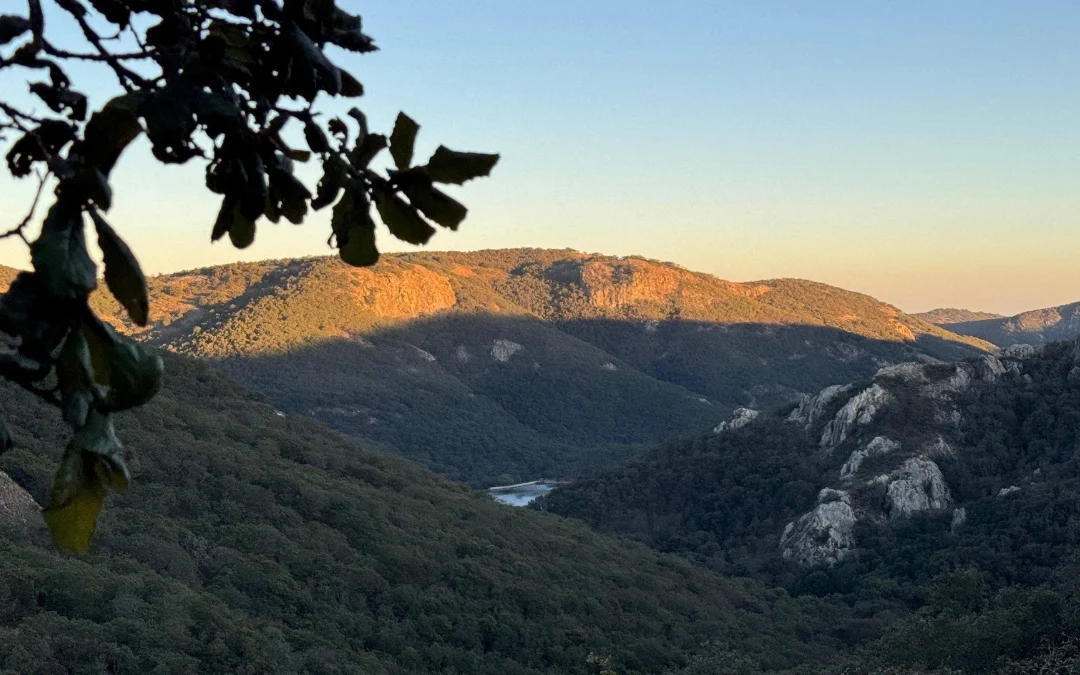 Entre bosques y aventura: Rancho Peralillo, el rincón natural escondido de la Sierra de Santa Rosa