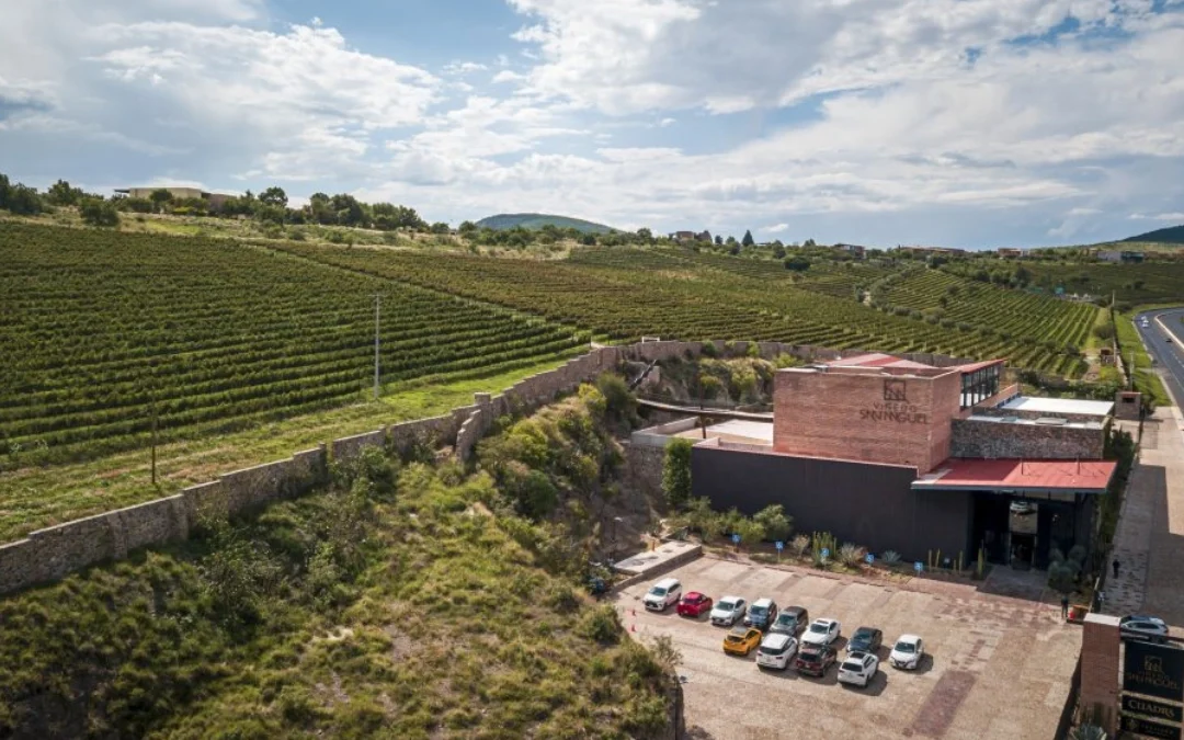 Viñedo San Miguel es reconocido como Mejor Bodega del Año en el Concurso Nacional del Sommelier 2026