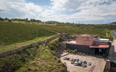 Viñedo San Miguel es reconocido como Mejor Bodega del Año en el Concurso Nacional del Sommelier 2026