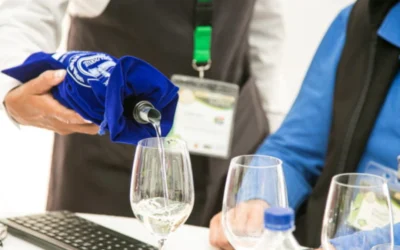 Guanajuato brilla en el Concurso Mundial de Bruselas 2026 con 52 reconocimientos y el Mejor Vino Mexicano