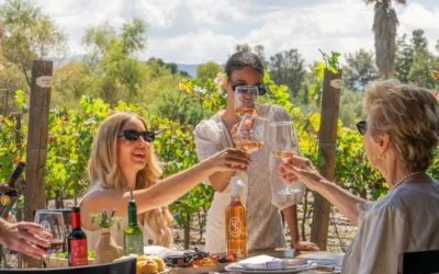 Guanajuato presenta las Fiestas de la Vendimia 2026 y fortalece su liderazgo en el enoturismo mexicano