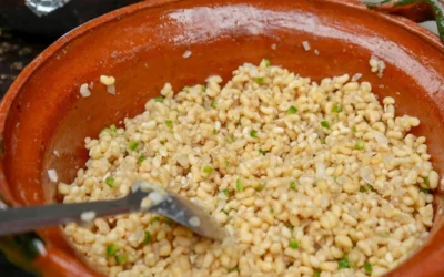 Ocampo celebrará el 4.º Festival del Vino, Mezcal y Escamoles con gastronomía, naturaleza y tradición