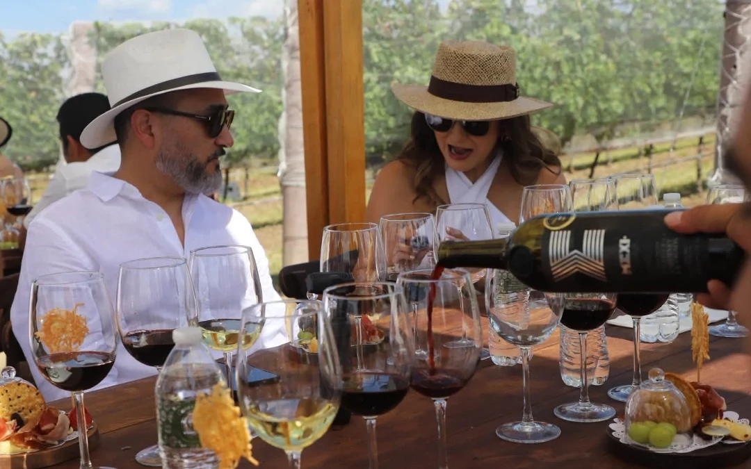 ¡Arrancan las Vendimias Guanajuato 2026! El estado se viste de fiesta entre viñedos, sabor y tradición